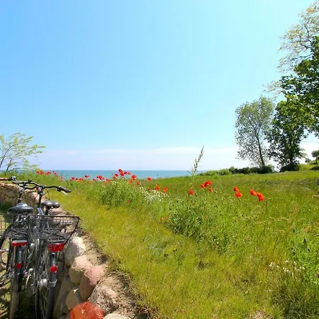 Διαμέρισμα Rex Rugia 10-7 Mit Gratis Sauna- Und Schwimmbadnutzung Im Ahoi Sellin