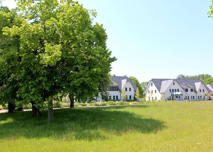 Rex Rugia 10-7 Mit Gratis Sauna- Und Schwimmbadnutzung Im Ahoi Sellin